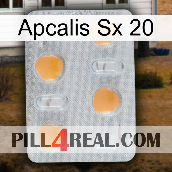 Apcalis Sx 20 24.jpg